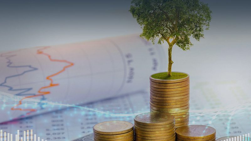 采购流程优化：如何通过咨询参数对比提升效率